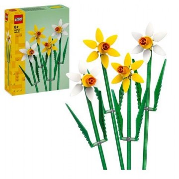 NARCISOS