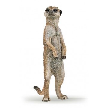 SURICATA DE PIÉ