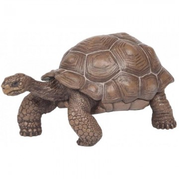 TORTUGA GALAPAGO