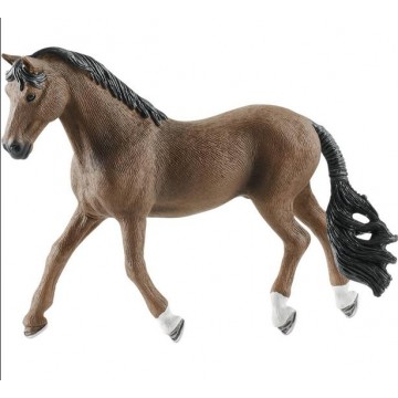 CABALLO TRAKEHNER