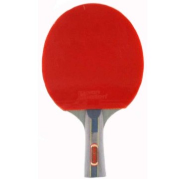 Pala ping pong ïlevel 6+ï...