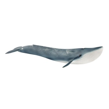 BALLENA AZUL