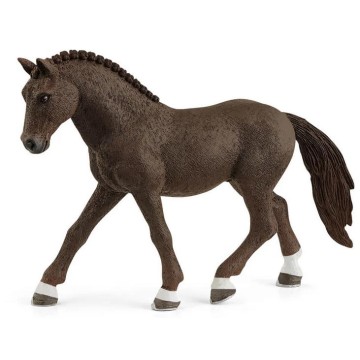 DEUTSCHE REITPONY, CAPON