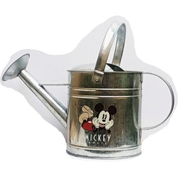 Regadera Mickey classic