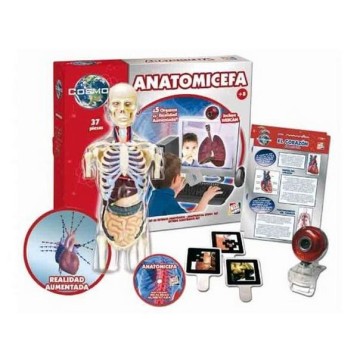 Anatomia Cefa