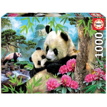 1000 OSOS PANDA