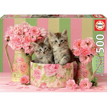 500 GATITOS CON ROSAS