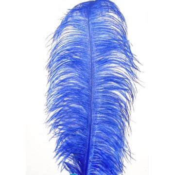 PLUMAS AVESTRUZ