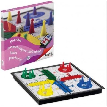 PARCHIS MAGNETICO