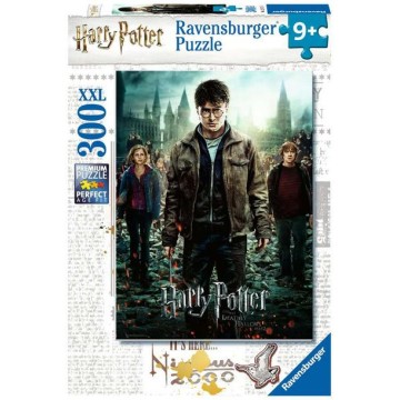 HARRY POTTER 300 PCS