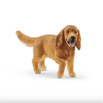 COCKER SPANIEL INGLES