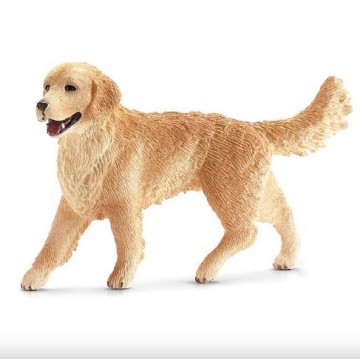 GOLDEN RETRIEVER HEMBRA