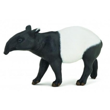 TAPIR