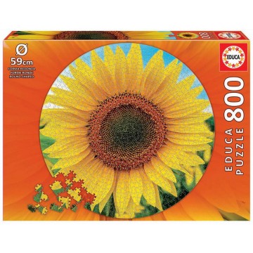 800 GIRASOL