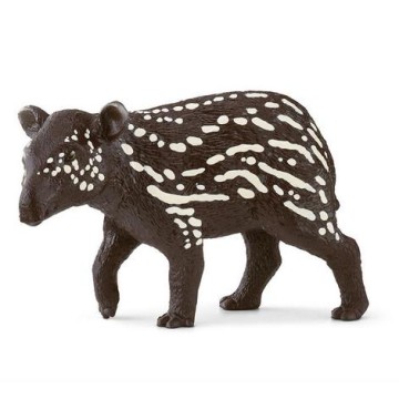 TAPIR MACHO