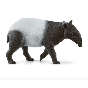 TAPIR