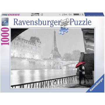 PUZZLES 1000 PIEZAS FOTO &...