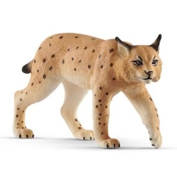 LINCE