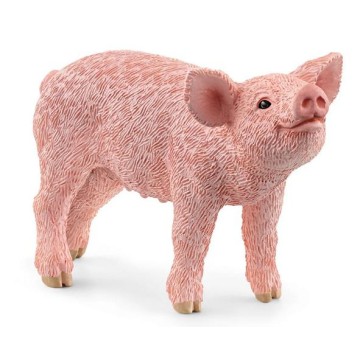 CERDITO