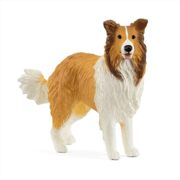 COLLIE 